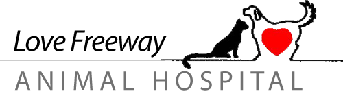 Love Freeway Animal Hospital